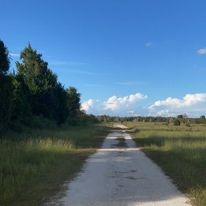 Meet your Posher, Collin